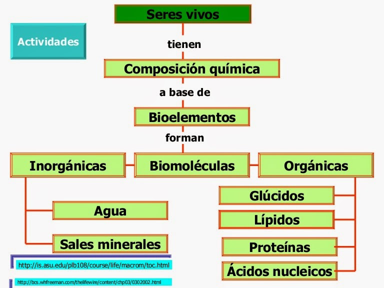 2 biomoleculas 120603003736 phpapp01 thumbnail 4